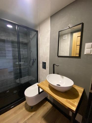 a bathroom with a sink and a toilet and a shower at Floating Apartments - ODRA DREAM in Szczecin
