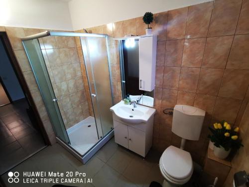 a bathroom with a shower and a toilet and a sink at Cluj City Marasti Apartament 1 in Cluj-Napoca