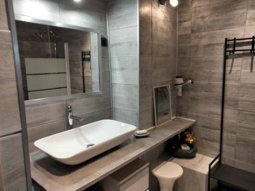 ein Badezimmer mit einem weißen Waschbecken und einem WC in der Unterkunft Gîte du Bachat in Vorey