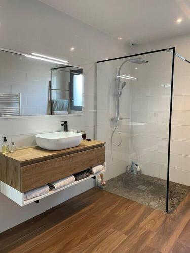 une salle de bain avec un lavabo et une douche dans l'établissement Villa détente à 150 m de l'océan - Bisca Plage, à Biscarrosse