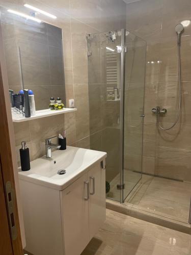 a bathroom with a shower and a sink and a shower at Apartman AS in Zlatibor