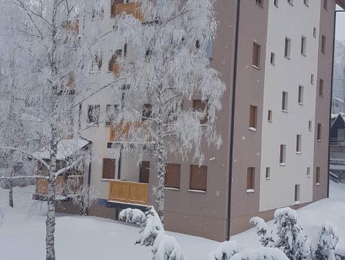 a building with snow covered trees in front of it at Apartman AS in Zlatibor