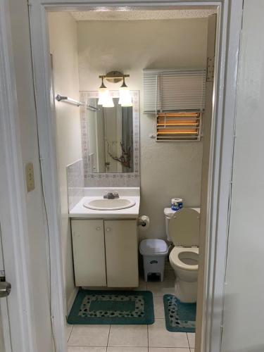 a small bathroom with a sink and a toilet at Finest Accommodation Apt # 424 Marley Manor Block 4 6 Marley Rd Kgn 6 in Kingston