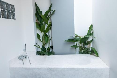 a bathroom with a white sink and two plants at Emerald Residence Kampot in Kampot