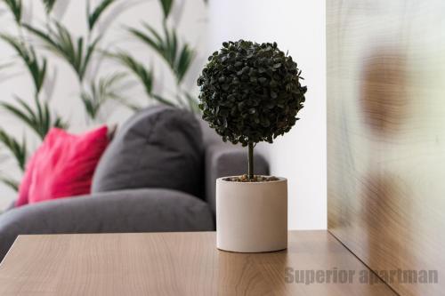 a plant in a white pot sitting on a table at Tisza Gyöngye Apartmanok in Szeged
