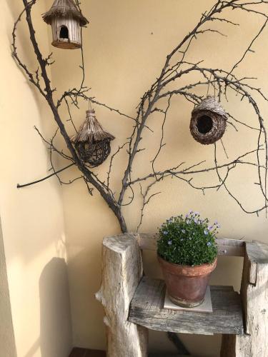 a wall with birdhouses and a plant on a bench at La Combriccola in Santarcangelo di Romagna