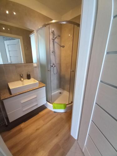 y baño con ducha y lavamanos. en Apartamenty Słoneczna Przystań, en Łeba