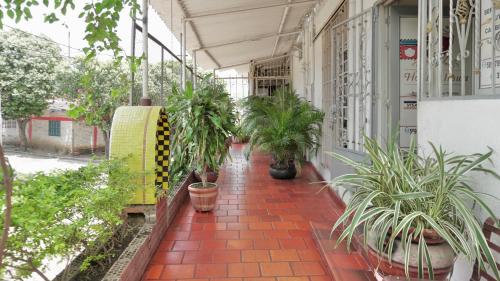 einen Innenhof mit Topfpflanzen in einem Gebäude in der Unterkunft Hotel La Ínsula in Cúcuta