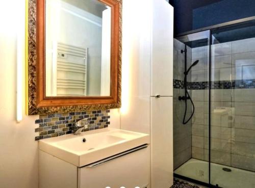 een badkamer met een wastafel, een spiegel en een douche bij Appartement à Sommières in Sommières