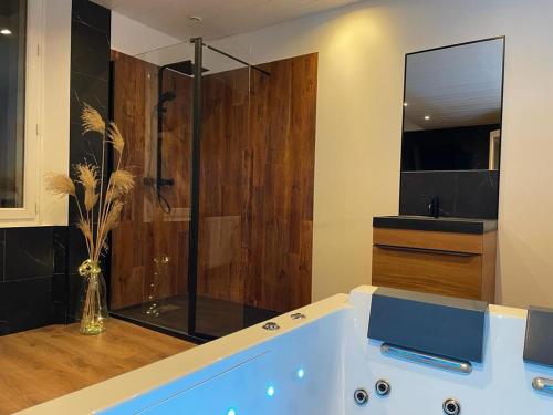 uma casa de banho com banheira e chuveiro em Elo Spa em Saint-Quentin