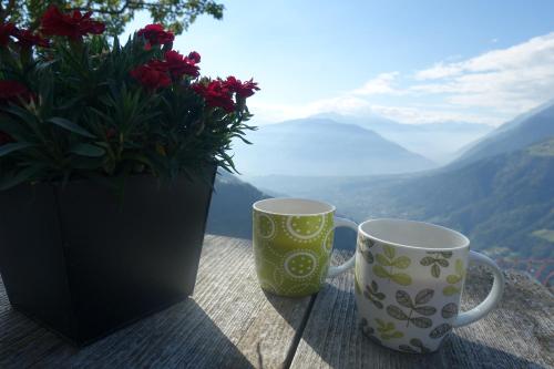two coffee cups sitting on top of a table with flowers at Ferienwohnung Boarbichlhof in Schenna