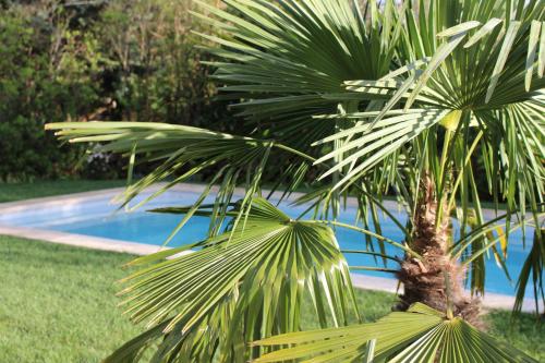 Πισίνα στο ή κοντά στο Mas Les Romarins, 10 min d'Uzès, piscine et grand jardin clos, jeux, nid de repos et base pour activités dans le Gard