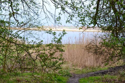 a view of a body of water through trees at Holbæk. Byhus med fjordudsigt, og 5 min. til bymidten in Holbæk