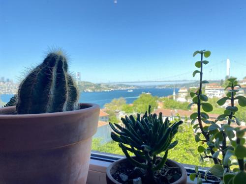 Delightful Apartment with Backyard and Bosphorus View in Uskudar