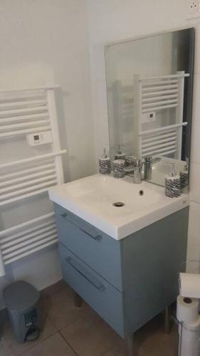 ein Bad mit einem Waschbecken und einem Spiegel in der Unterkunft Radepont Maison 8 pers. max in Radepont