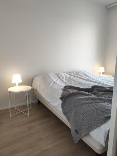 Postel nebo postele na pokoji v ubytování City Studio Taiga