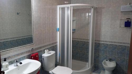 La salle de bains est pourvue d'une douche, de toilettes et d'un lavabo. dans l'établissement Apartamento Andalucía, à Cordoue