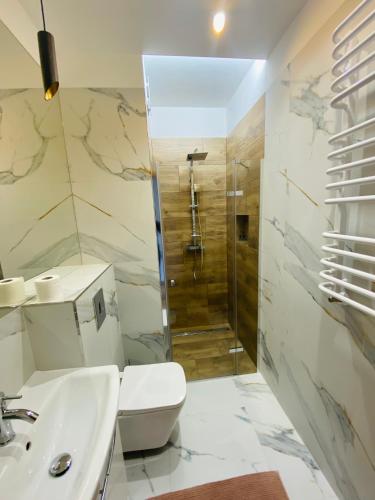a bathroom with a shower and a toilet and a sink at Apartamenty Białe nad jeziorem Białym in Augustów