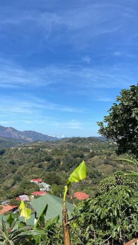 Casa Vista Cafe – Photos 3