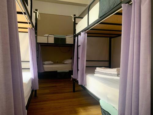 - łóżko piętrowe z fioletowymi zasłonami w pokoju w obiekcie Hostel 47 w mieście Batumi