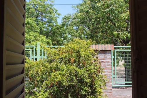 a cat is sitting on top of a fence at Ventanas al cerro recargado! in La Rioja