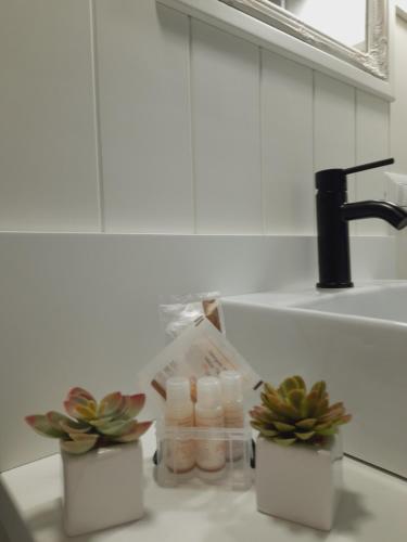 ein Badezimmer mit einem Waschbecken und zwei Gläsern und Pflanzen in der Unterkunft Il Cavallo a Dondolo in Abbadia San Salvatore