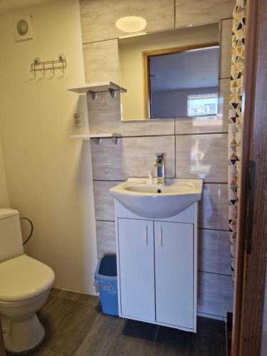 a bathroom with a sink and a toilet at Kwatery u Beaty in Krynica Morska - Piaski