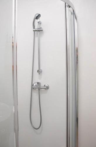 a shower in a bathroom with a shower head at Apartamentos Concepcion Centro in Albacete