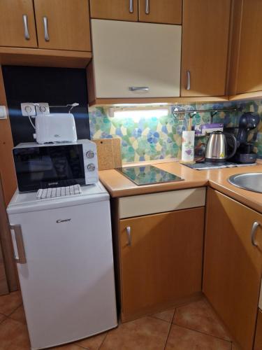 a kitchen with a white refrigerator and a microwave at Apartment Niko in Piran