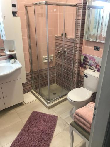 a bathroom with a shower and a toilet and a sink at Cosy Seaside Apartment in Kavala