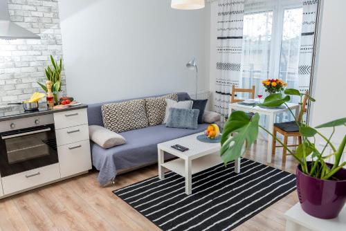 a living room with a blue couch and a kitchen at Apartament Graniczna 6B in Bydgoszcz