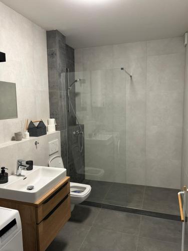 a bathroom with a shower and a toilet and a sink at Apartment Rosarian in Hrubá Borša
