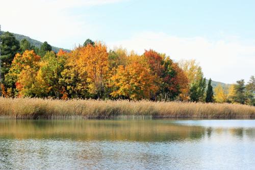 a body of water with trees in the background at Casa el Escalerón in Uña