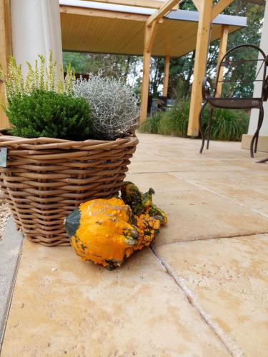 a pumpkin on the ground next to a basket of plants at Villa Quality Wellness in Dozmat