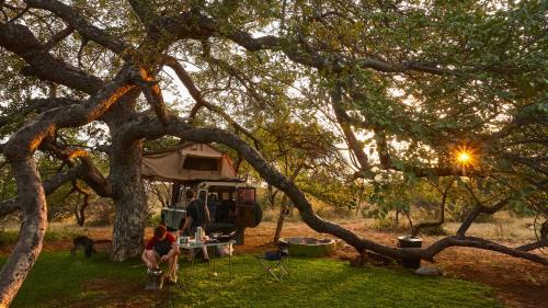 促美布的住宿－ZuriCamp - Campsite Halishi，坐在树下帐篷前的女人