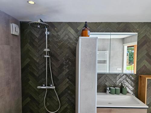 a bathroom with a shower and a sink at Ham Annex B&B in Almelo