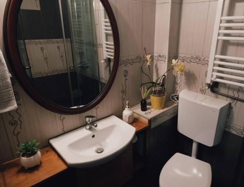 a bathroom with a sink and a mirror and a toilet at Vista Studio Brasov in the Heart of the Old City Center in Braşov
