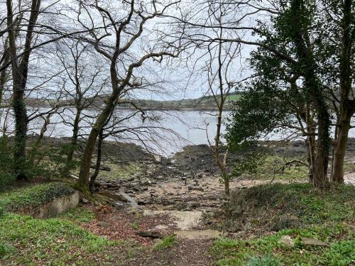 a path leading to a body of water with trees at The Blue Door in Kirkcudbright