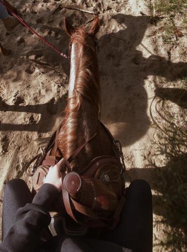 a person sitting next to a horse on a leash at Cà Sal Holiday Home in Lesina
