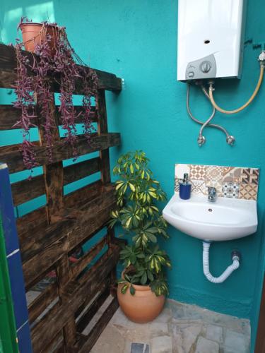 a bathroom with a sink and a potted plant at Natural Mystic Hostel in Costa da Caparica