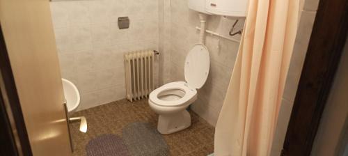 a bathroom with a toilet and a shower curtain at Kursumlijska banja apartman 4+1 in Kursumlijska Banja