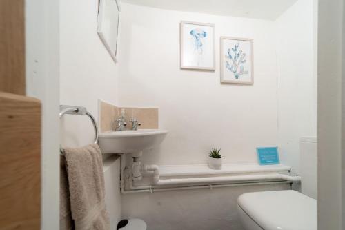 比迪福德的住宿－Wren Cottage at Robin Hill 4，白色的浴室设有水槽和卫生间。