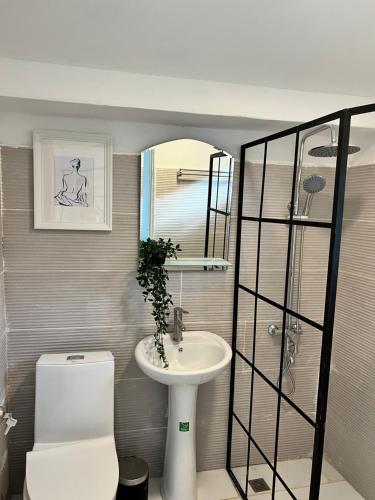 a bathroom with a toilet and a sink at Casa rosada beach front in Mano Juan