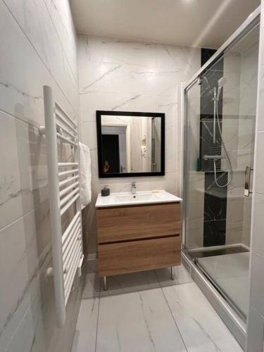 une salle de bain avec un lavabo, une douche et un miroir dans l'établissement appartement 15min de Paris, à Drancy