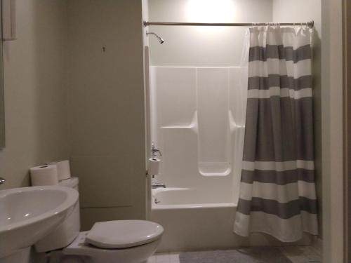 La salle de bains est pourvue d'une douche, de toilettes et d'un lavabo. dans l'établissement Spacious 3br Apt In Grand Old Home, Downtown Durham, à Durham