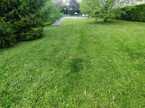 Fotografia z galérie ubytovania Alpes Golden Nest v destinácii Chambéry