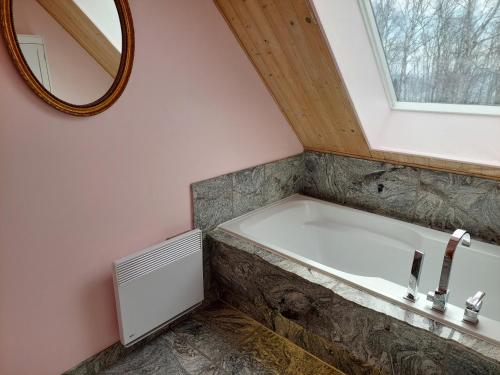 a bathroom with a bath tub and a mirror at La Nef Bleue in Tadoussac
