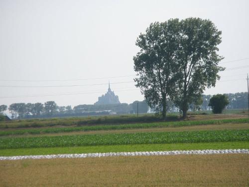 a tree and a field with a building in the distance at Gite Le Mascaret in Roz-sur-Couesnon