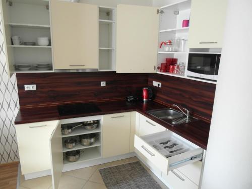 Η κουζίνα ή μικρή κουζίνα στο Apartments Kopečná with parking