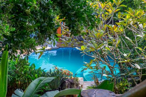 een zwembad omgeven door bomen en planten bij Hotel Alemão Beach de Ilhabela in Ilhabela